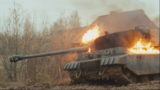 Белый Тигр ZwFrj9WEkI7V
