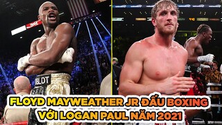 HOT Floyd Mayweather Jr đấu Boxing với Logan Paul năm 2021 || Võ thuật