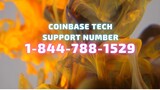 Coinbase tech support number ☎ 1-844-788-1529