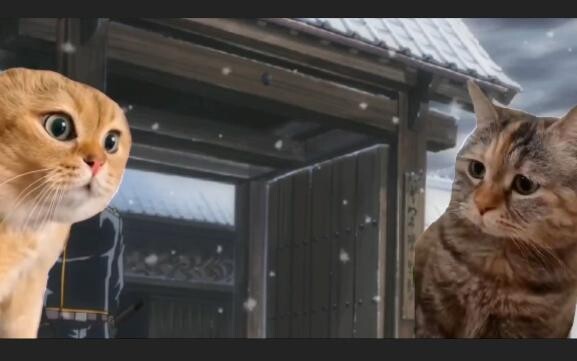 Gintama trượt tuyết nhưng meme mèo