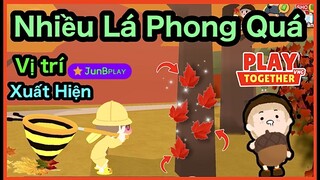 Play Together | Những Vị Trí Xuất Hiện Lá Phong Nhiều Nhất - JunB