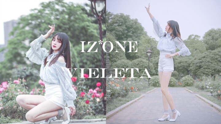 【Linging Night】—Violeta—IZ*ONE Please Let Me See You