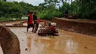 membajak sawah