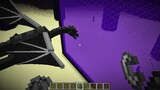 what if the dragon goes to nether?