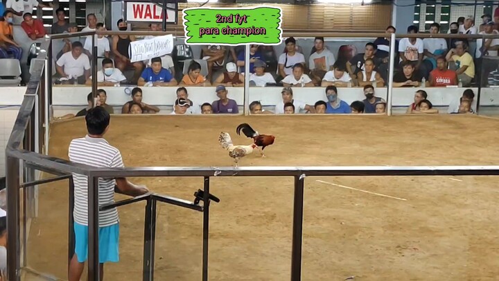 unang subok sa  2hits ulutan/ wla side win champion