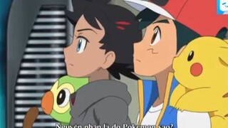 Pokemon 2019 - 74.1