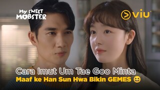Cara Imut Um Tae Goo Minta Maaf ke Han Sun Hwa Bikin GEMES 😆 | My Sweet Mobster EP12