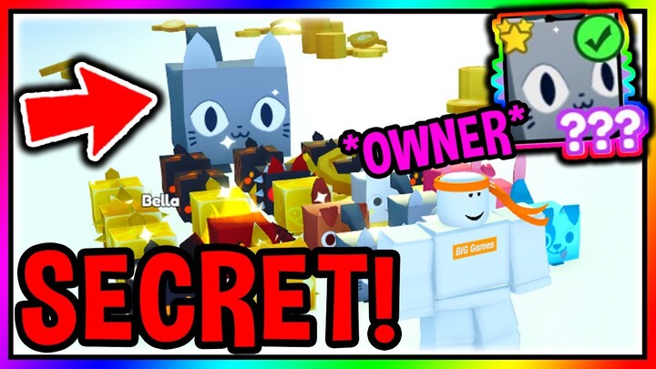 How To Get SECRET HUGE CAT PET In Pet Simulator X Roblox