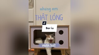 Ber lớn quá rùi nèe cat catsoftiktok meo