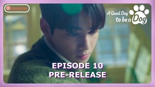 A Good Day To Be A Dog Episode 10 Preview [ENG SUB]