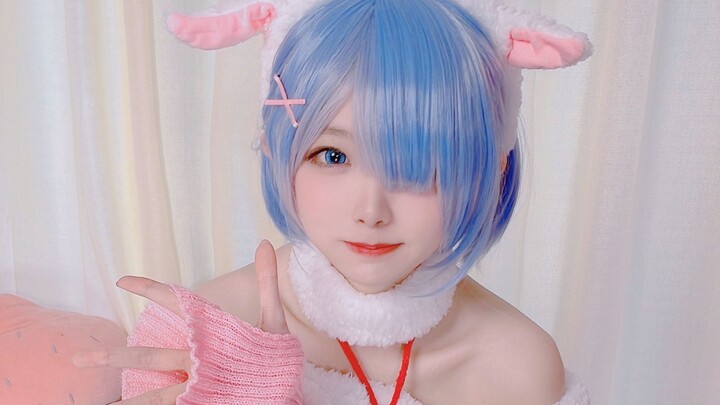 【Sakura Group】I am a little sheep~