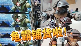 【模型避雷】你买到好价龟霸没？mg hg龟霸短测评！