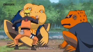 latihan naruto dan gamatatsu, gamagunta bikin bengek 🤣🤣