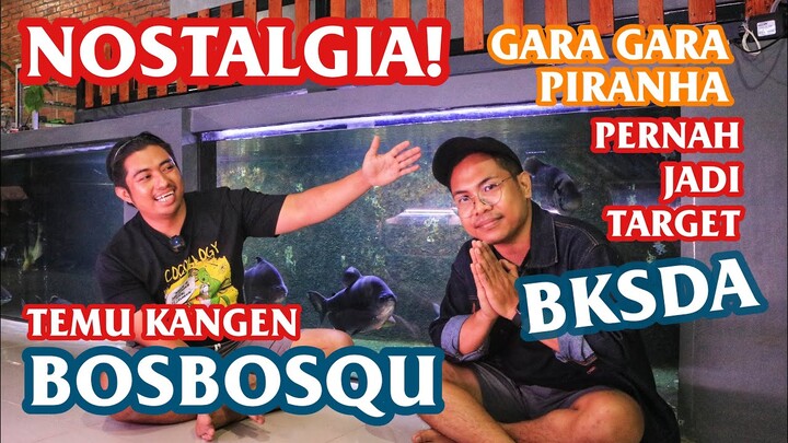 BOSBOS QU-HAMPIR KECIDUK BKSDA GARA GARA KONTEN PIRANHA @Bos Bos Qu