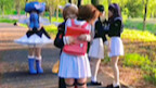 The Wolf Sakura Party's dream came true at the large-scale CP scene, everyone is so cute!