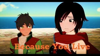 RWBY AMV - Ruby x Oscar - Because You Live