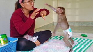 Dance Monkey!! Wow, Amazing Yaya starts dancing when Mom is singing a song while Luca is sleeping