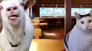 【Meme kucing】Tentang seorang siswa SMP yang putus sekolah karena depresi dan tiba-tiba menjadi opera