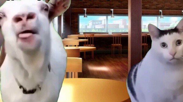 【Meme kucing】Tentang seorang siswa SMP yang putus sekolah karena depresi dan tiba-tiba menjadi opera