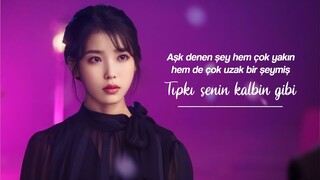 Heize - Can You See My Heart (Türkçe Çeviri) Hotel Del Luna OST Part 5