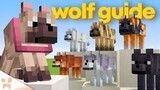 ULTIMATE NEW MINECRAFT 1.21 DOG GUIDE - Secret Locations, How To Find, Dog Armor, & More