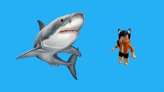 SharkBite Gameplay (Roblox)