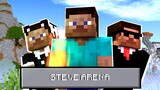 Minecraft | STEVE ARENA ( short minecraft animation )