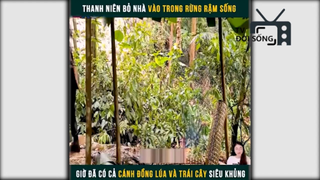 cuộc sống trong rừng p3