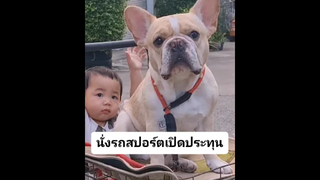 อากาศดีแบบนี้ต้องนั่งรถเปิดประทุน