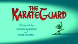 The KarateGuard
