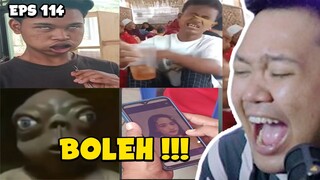 Reaction Meme  Eps 114 || ASMARA HANCUR APLIKASI IJO MELUNCURR MASSZEEHH