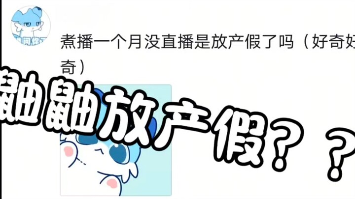 煮播悬着的心鼬鼠了...