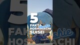 5 Fakta Menarik dari Plushie Hoshimachi Suisei