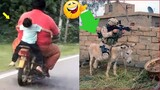 Try Not To Laugh - Best Funny Vines Of The Year 2022. Episodes  By @FUNNY TV