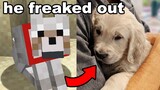 I Gave My Brother His Minecraft Dog in Real Life