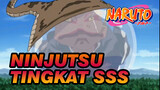 Ninjutsu Tingkat SSS di Naruto (salah satunya akan membuat NGAKAK)
