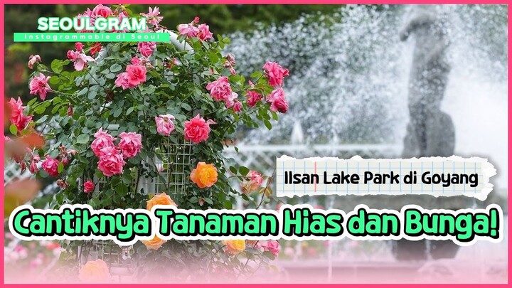 [SEOULGRAM] International Horticulture Goyang di Ilsan Lake Park