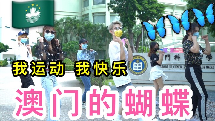 【澳门酒醉的蝴蝶】当特别行政区爱上了广场舞...蝴蝶飞来了澳门