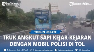 Viral Truk Angkut Sapi Kejar kejaran dengan Mobil Polisi di Tol