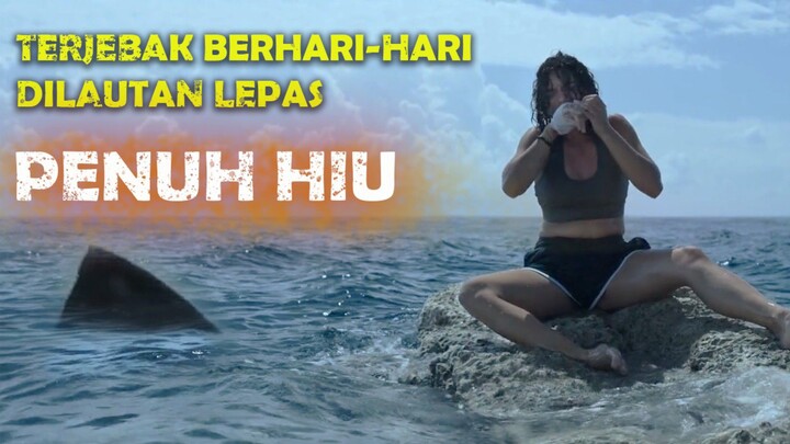 Bertahan Hidup ditengah Laut bersama Hiu Ganas Berhari-hari - Alur Cerita Film #MovieReview