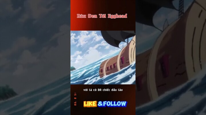 Râu Đen Tới Egghead #reviewanime #onepiece #tomtatanime #luffy #anime