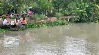 Chạy Vỏ Máy Dưới Sông-Đi Cắt Lúa -Gặp Đám Cưới Quá Vui