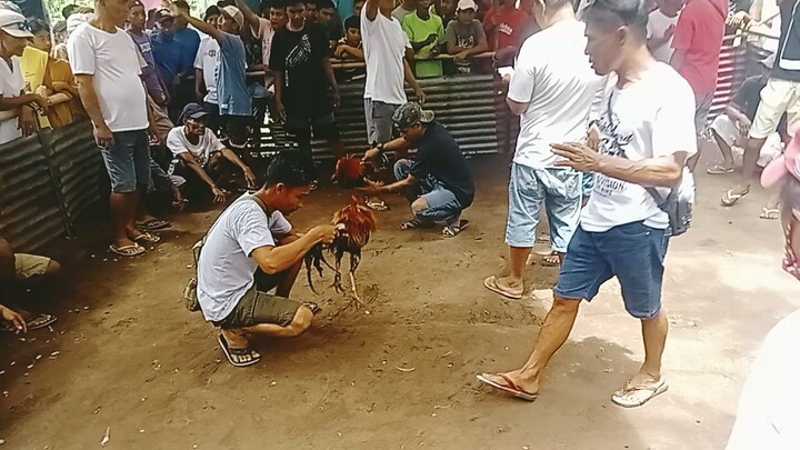 naka item na damit bumibitaw ng manok namin. LLP gy