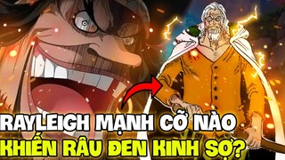 RAYLEIGH CÓ GÌ MÀ KHIẾN RÂU ĐEN SỢ PHÁT KHIẾP?! | VUA BÓNG TỐI RAYLEIGH MẠNH CỠ NÀO?!