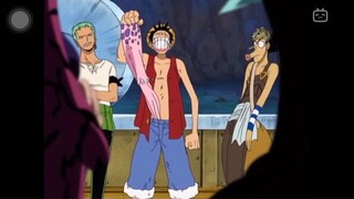 The teamwork of Straw Hats Crew 🤣