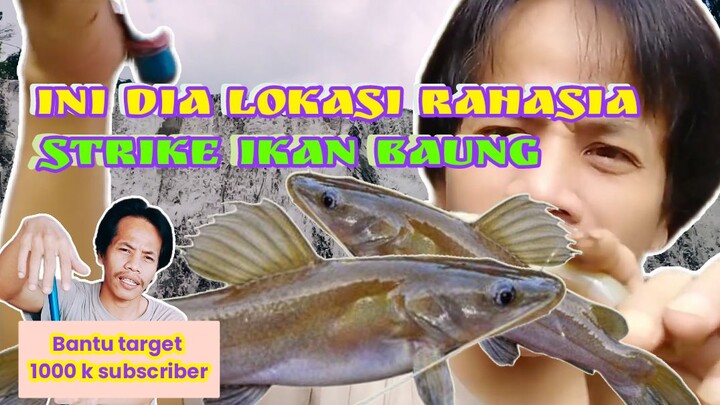 RAHASIA STRIKE IKAN BAUNG | AREA AIR TERJUN