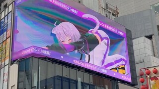 Một con mèo khổng lồ được phát hiện ở Shinjuku