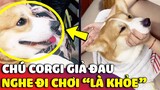 Chiếc Corgi nhõng nhẽo 'GIẢ BỆNH' lập tức khỏe lại khi nghe Sen nhắc đến 2 TỪ NÀY 😅 | Gâu Đần