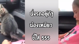 รวมคลิปตลกๆ : ขรี้ไม่ถูกที่เลย!!