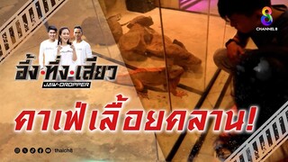 คาเฟ่เลื้อยคลาน! | อึ้ง ทึ่ง เสียว